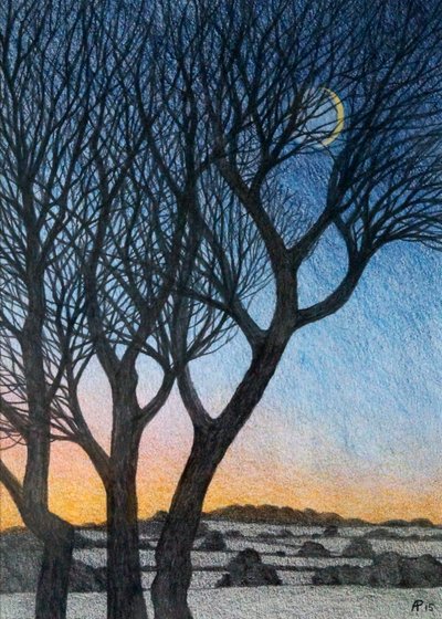 Bäume und Mond, 2015 von Anna Phillips